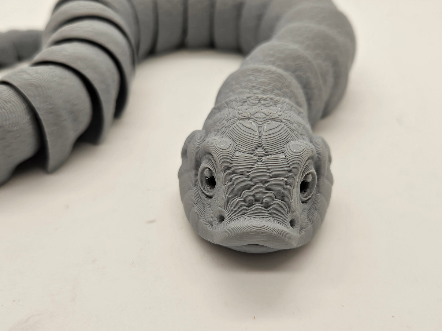 Flexi Hognose Snakes!