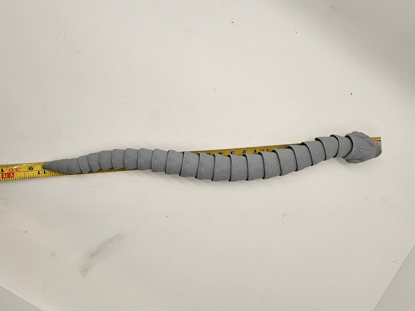 Flexi Hognose Snakes!