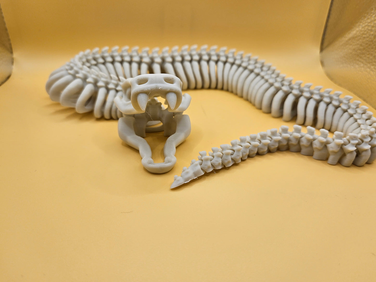 Incredible Skeleton Snake!