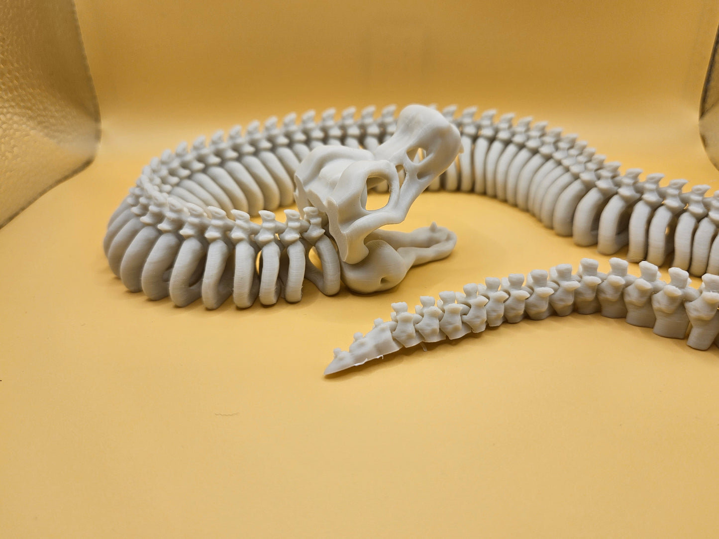 Incredible Skeleton Snake!