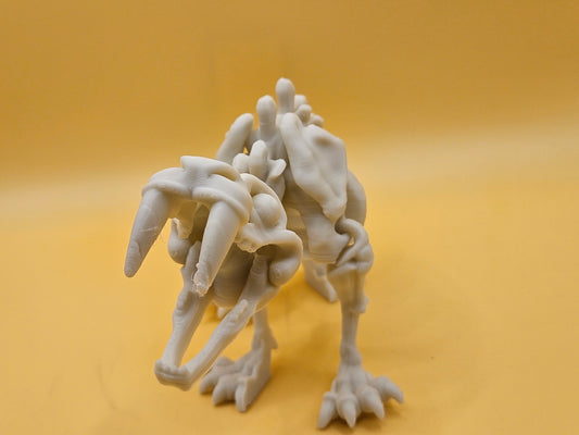 Skeleton Saber-Tooth Tiger!