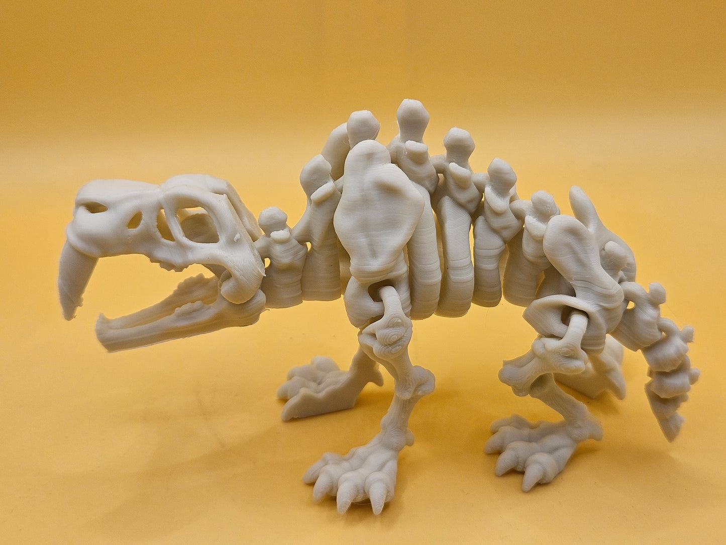 Skeleton Saber-Tooth Tiger!
