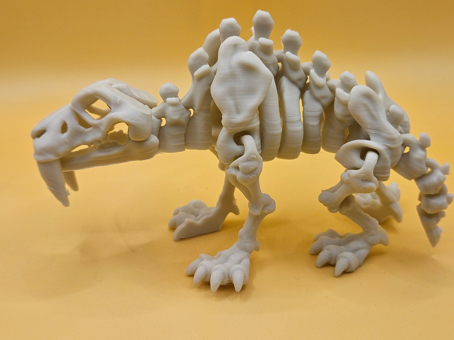 Skeleton Saber-Tooth Tiger!