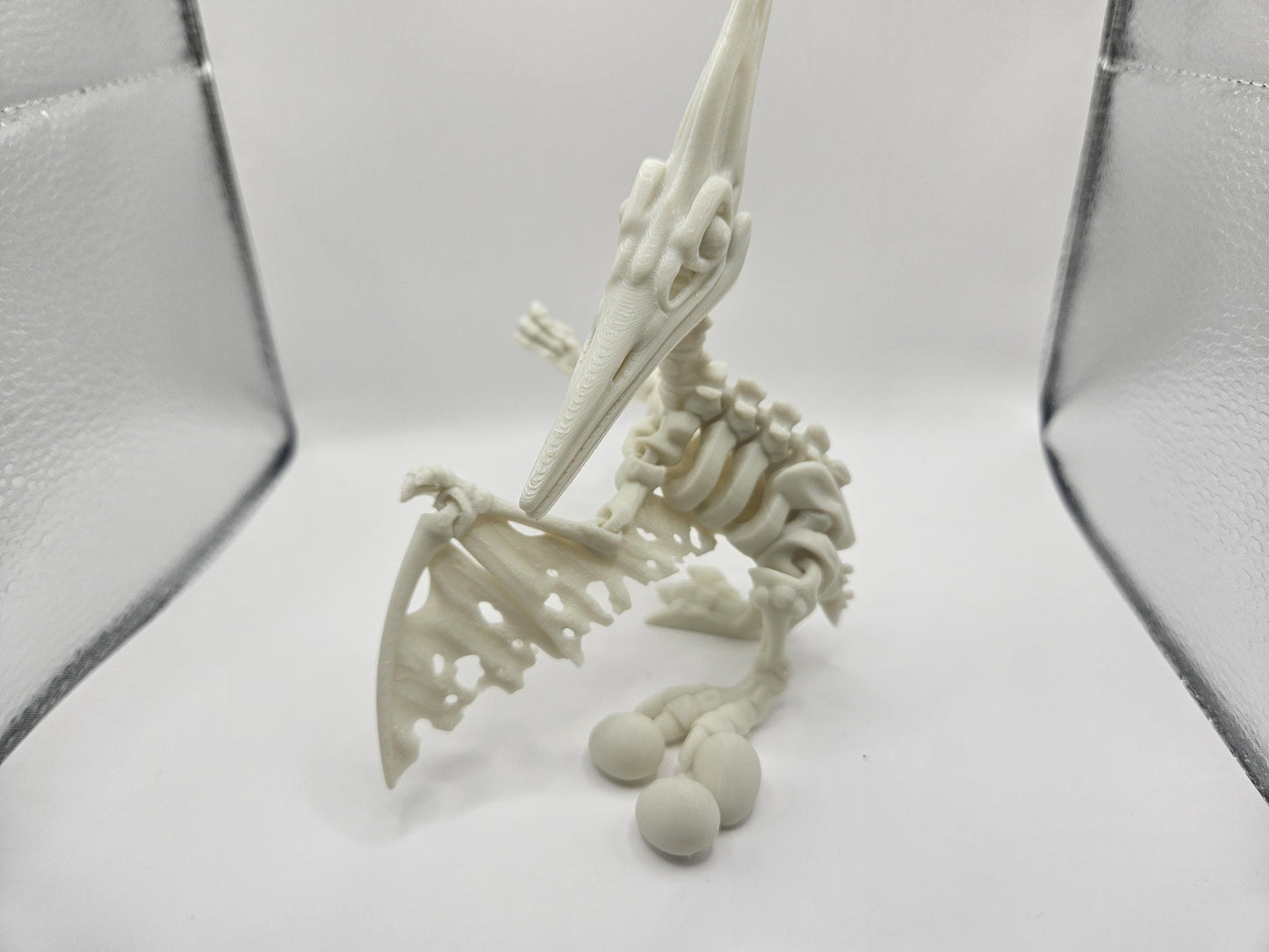 Skeleton Flexi Pteranodon/Pterodactyl
