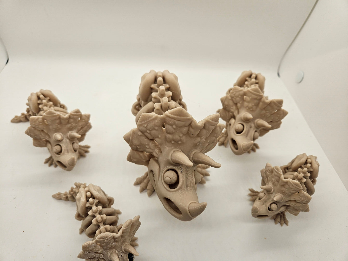 Flexi Skeleton Triceratops