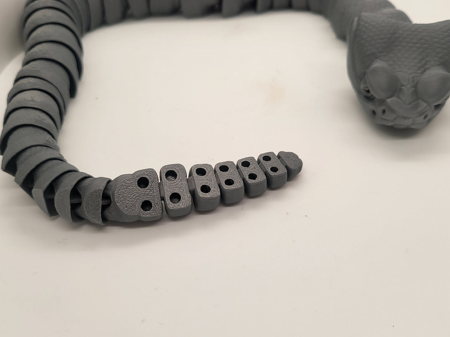 Amazing Articulated Rattlesnake!