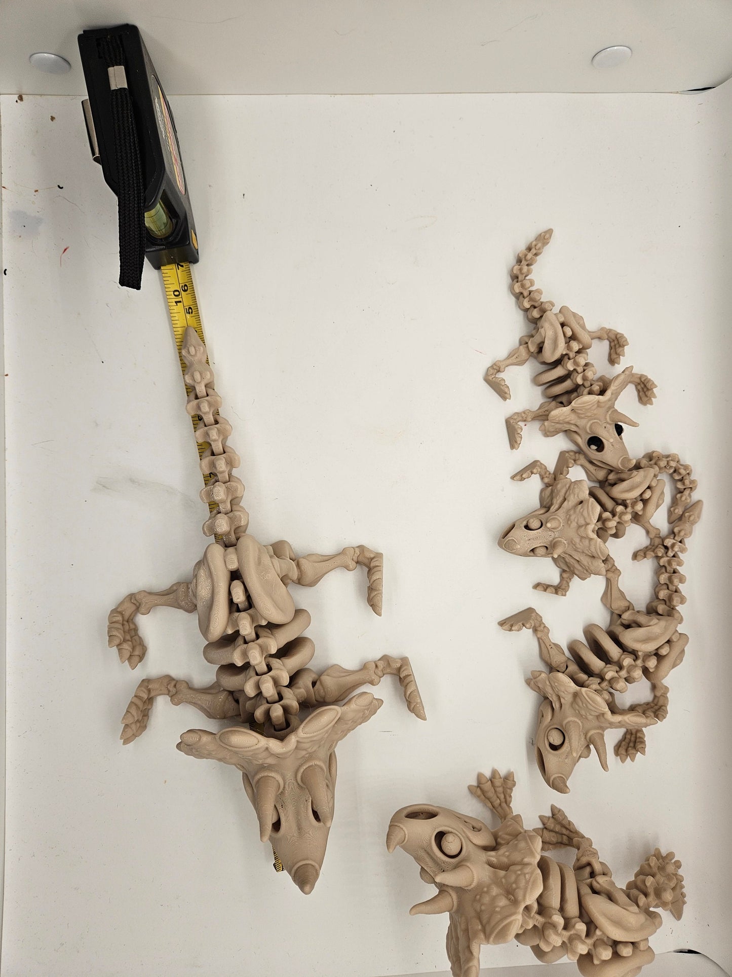 Flexi Skeleton Triceratops