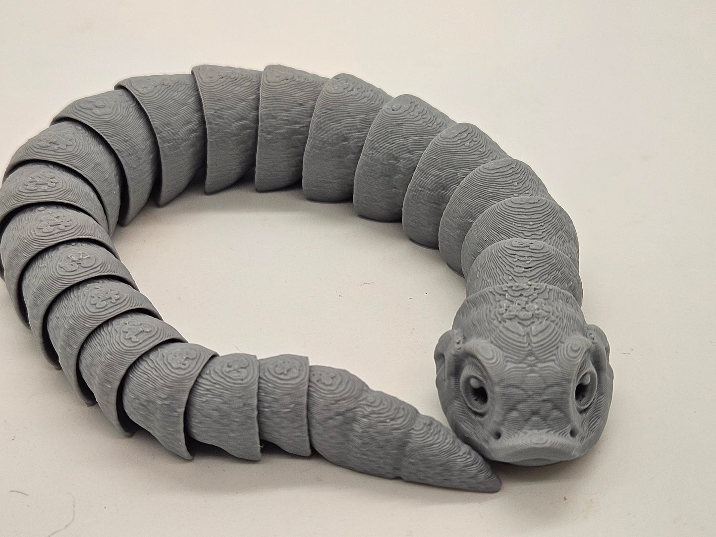 Flexi Hognose Snakes!