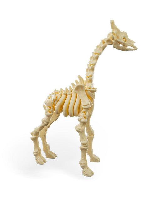 Flexi Skeleton Giraffe