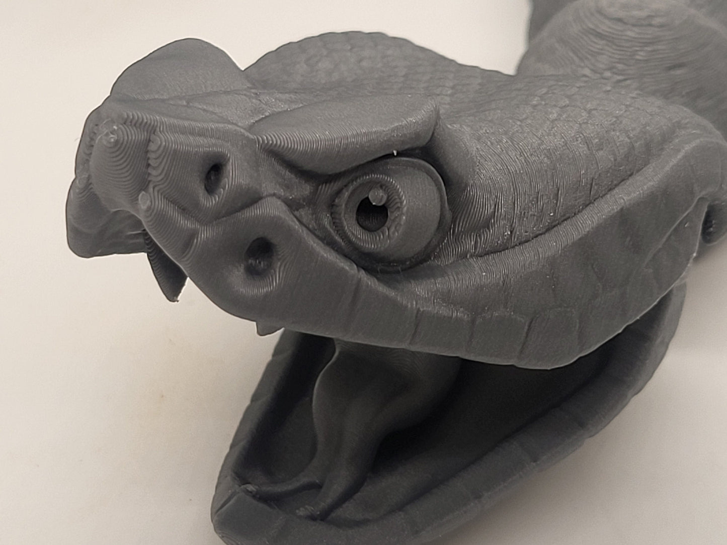 Amazing Articulated Rattlesnake!