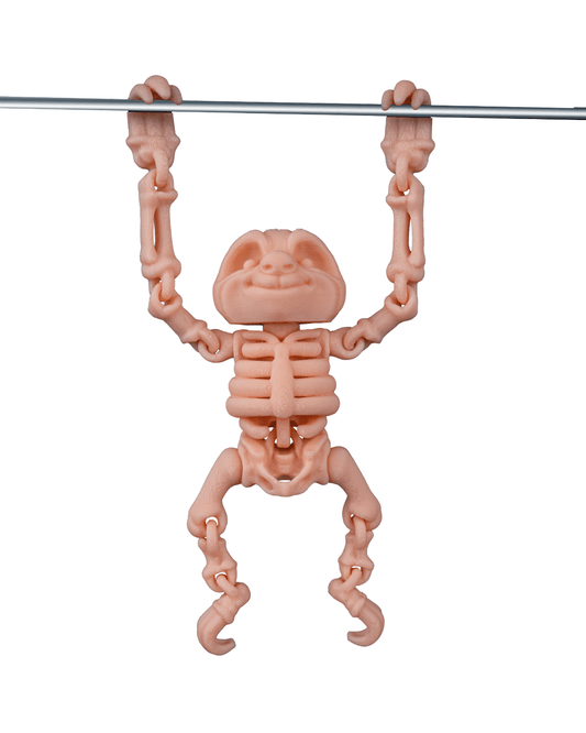 Flexi Skeleton Sloth!
