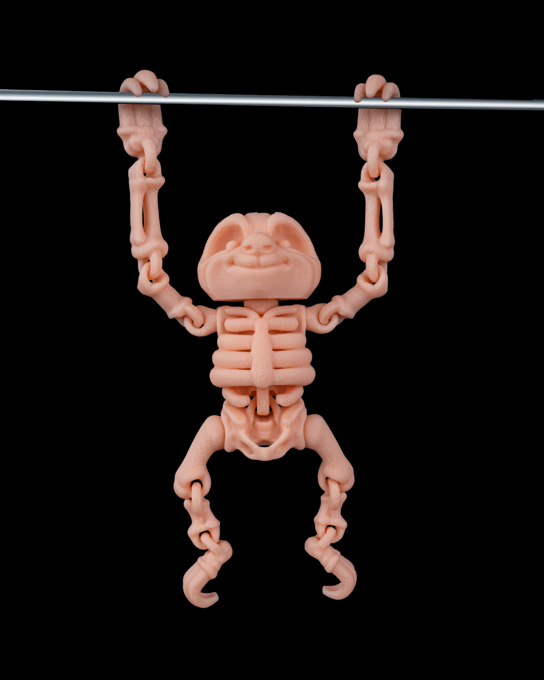 Flexi Skeleton Sloth!