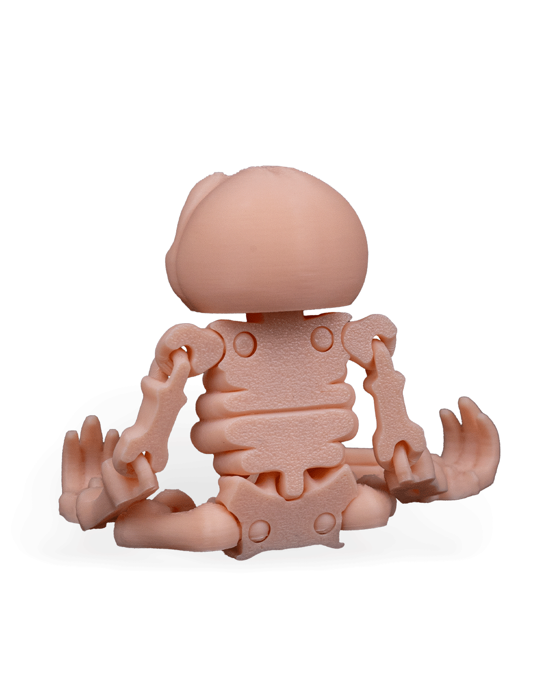 Flexi Skeleton Sloth!