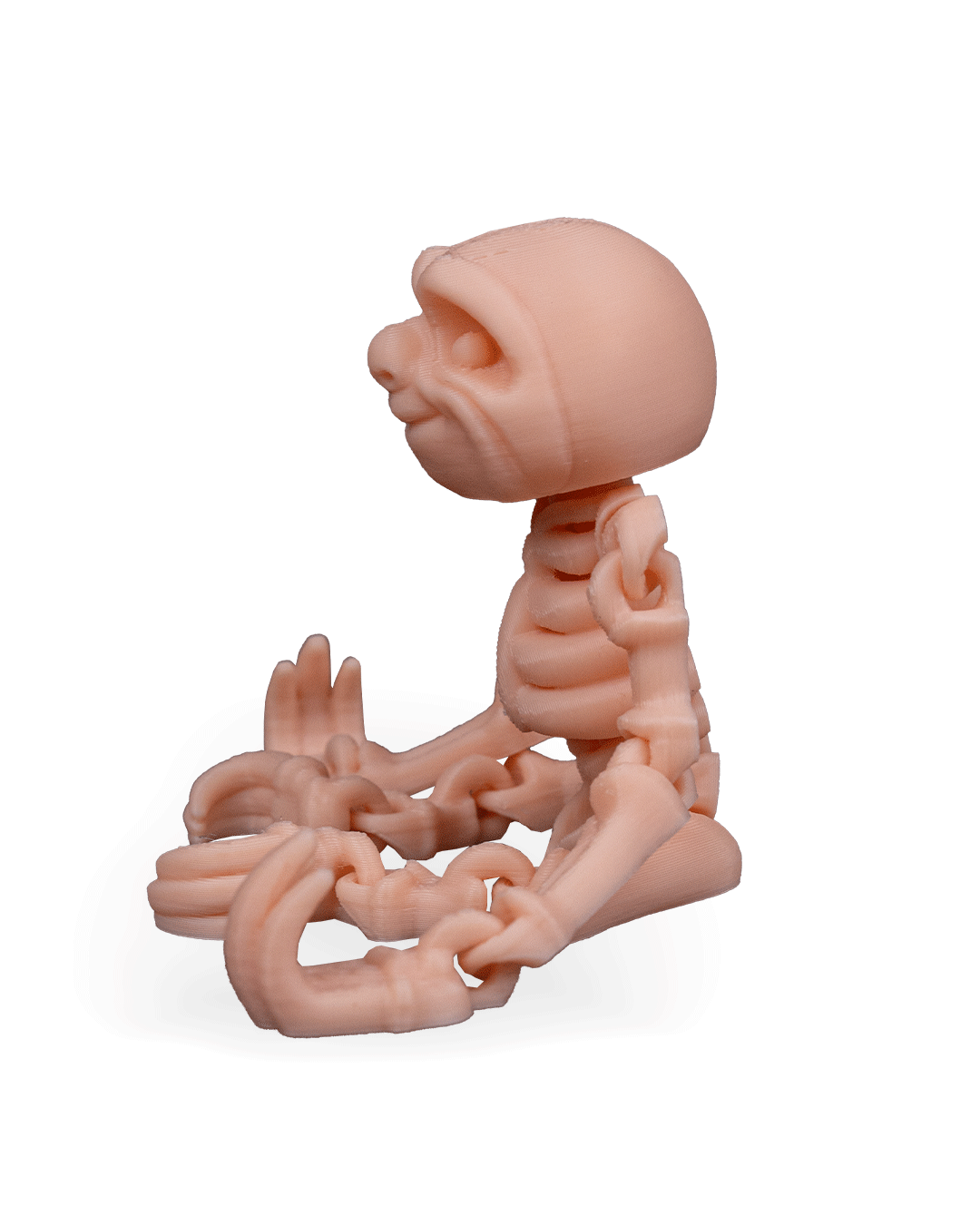 Flexi Skeleton Sloth!