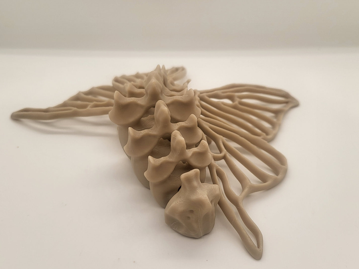Bone Moth