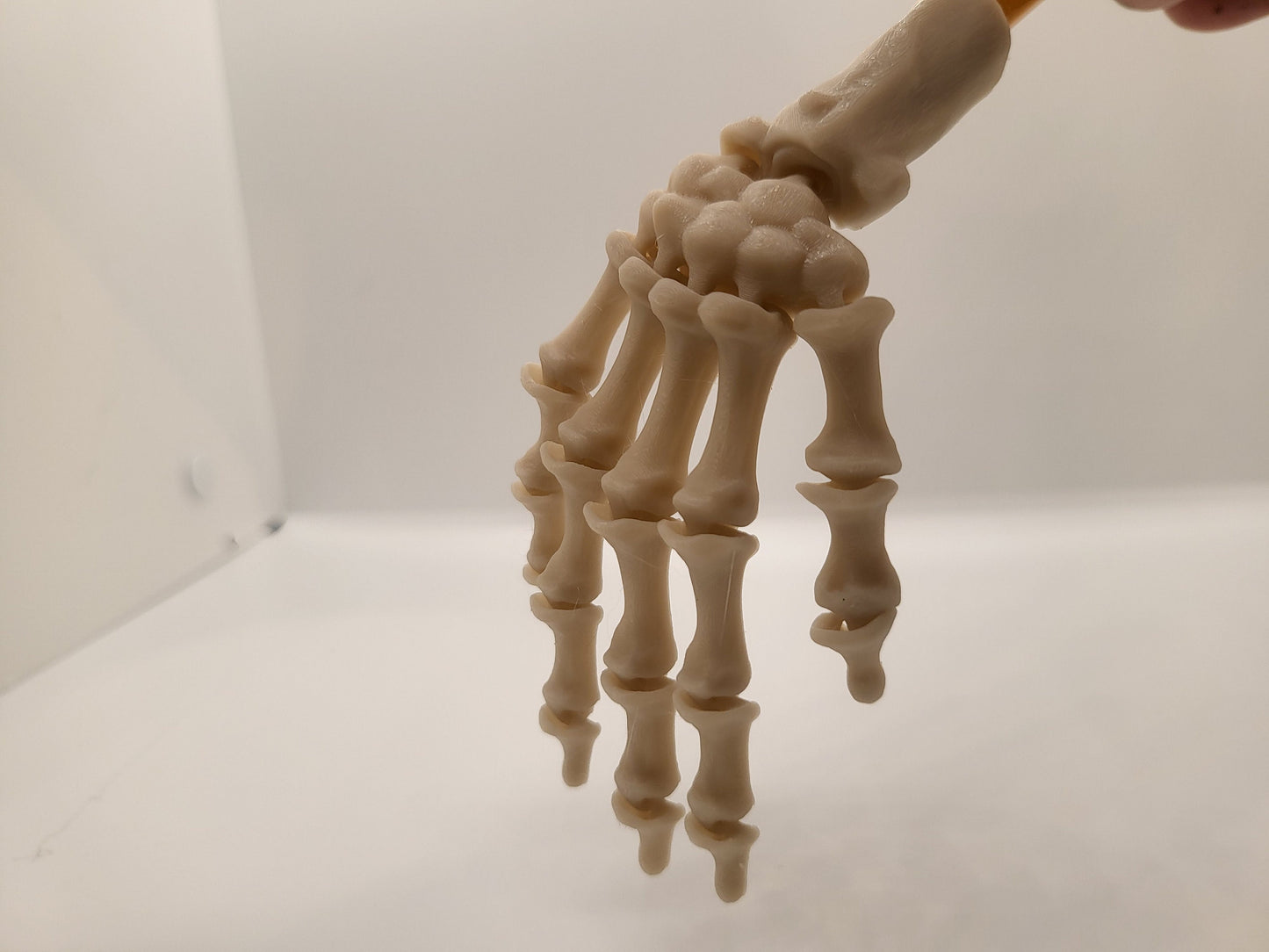 Skeleton Hand Pencil Topper
