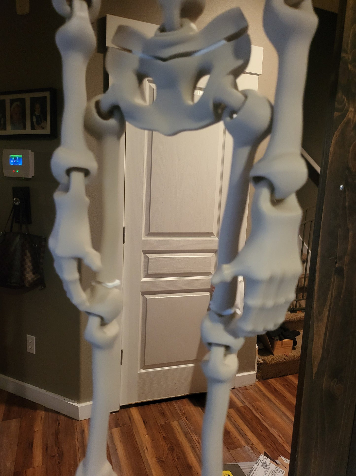 38 Inch tall Skeleton!