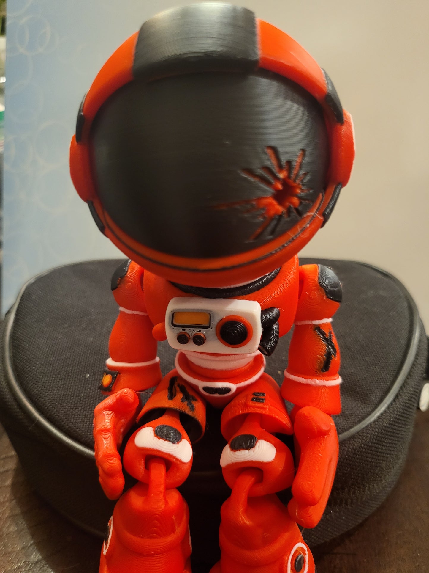 Astronaut Skeleton!