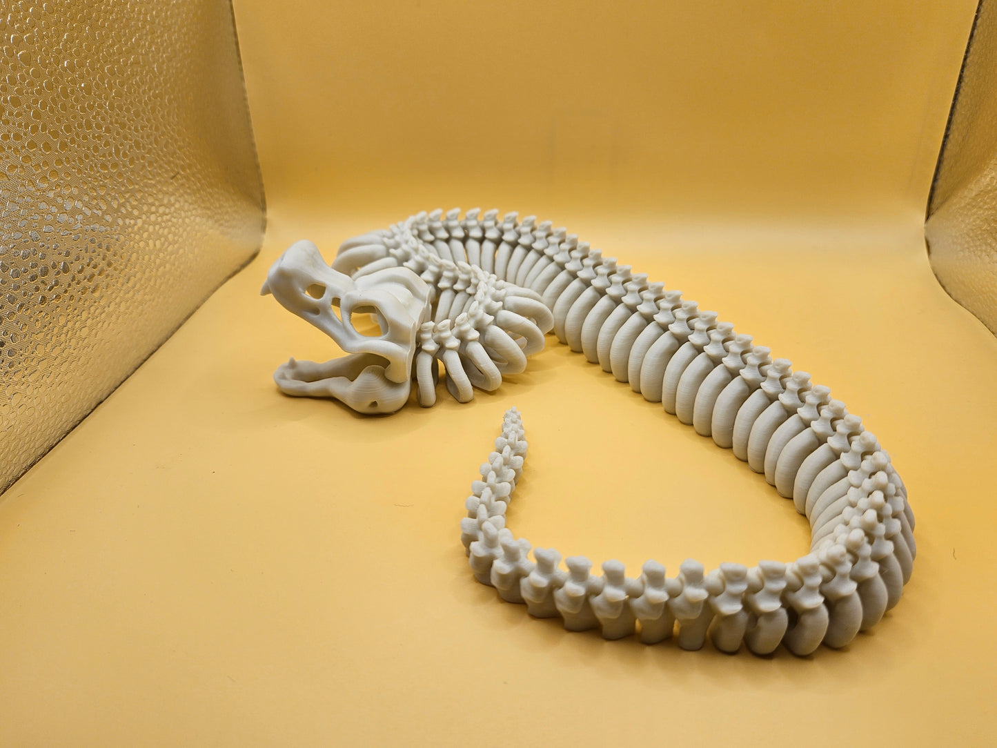 Incredible Skeleton Snake!