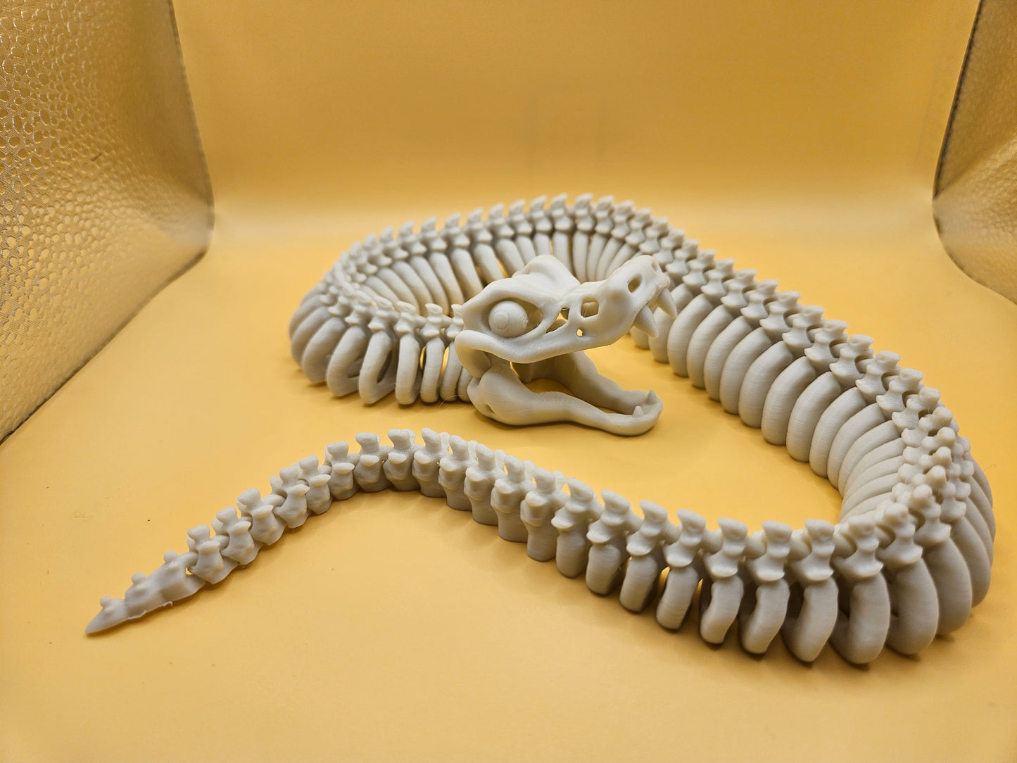 Incredible Skeleton Snake!