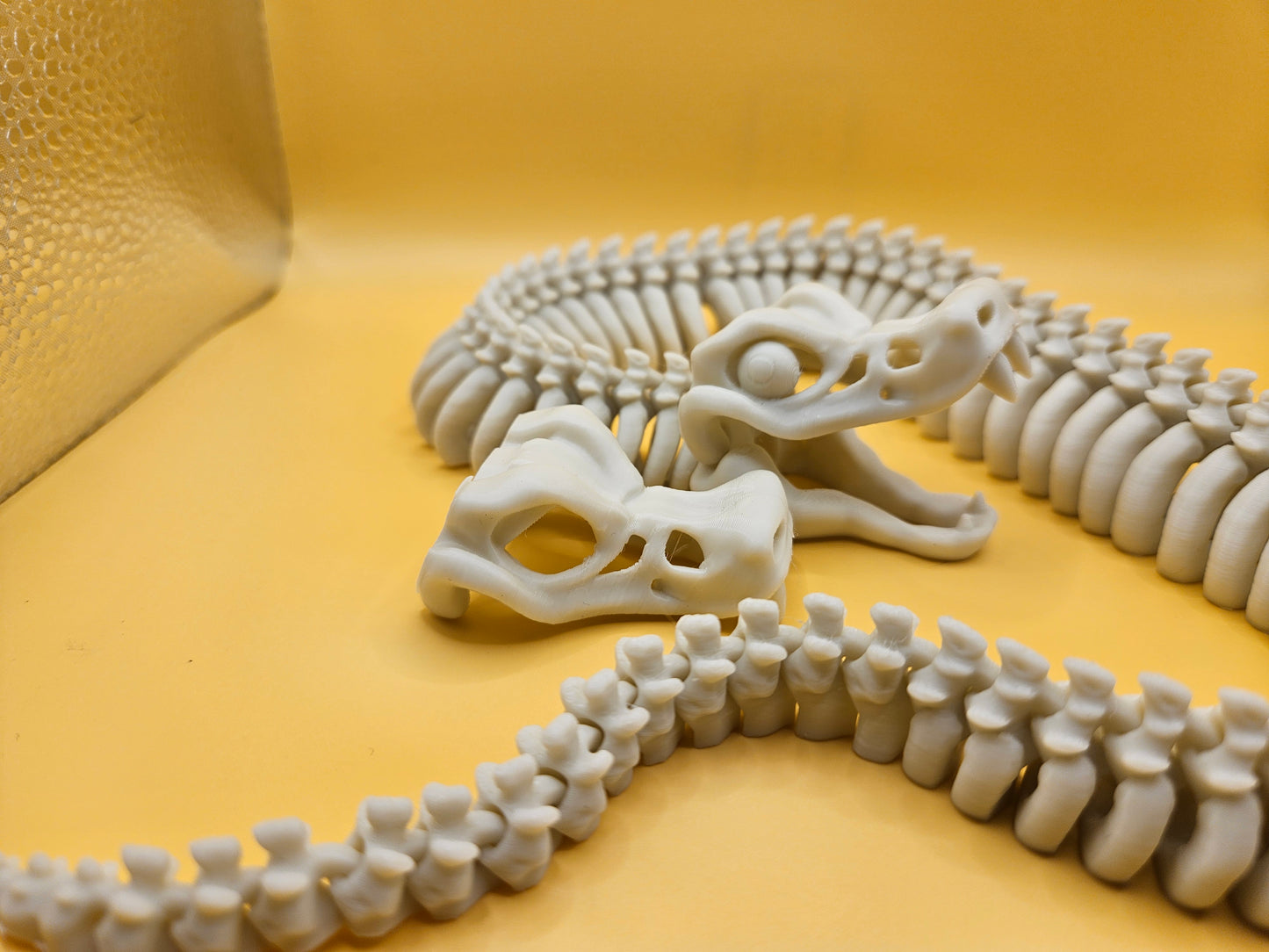 Incredible Skeleton Snake!