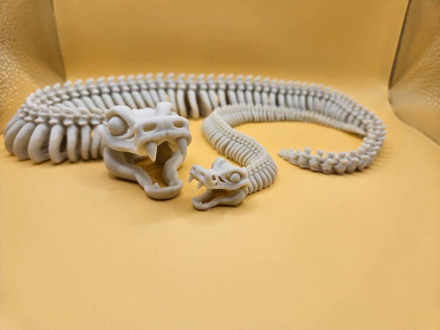 Incredible Skeleton Snake!