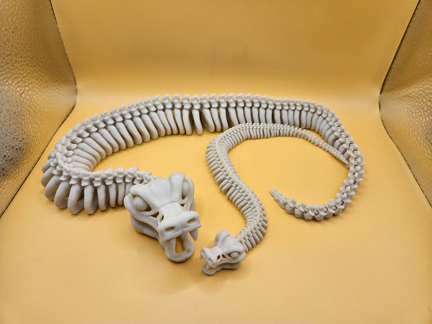 Incredible Skeleton Snake!