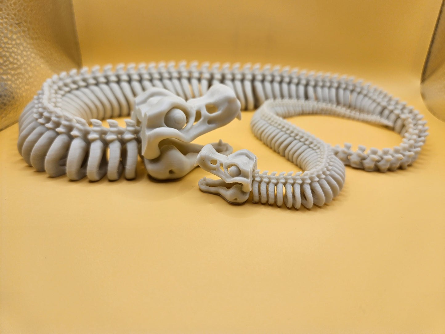 Incredible Skeleton Snake!