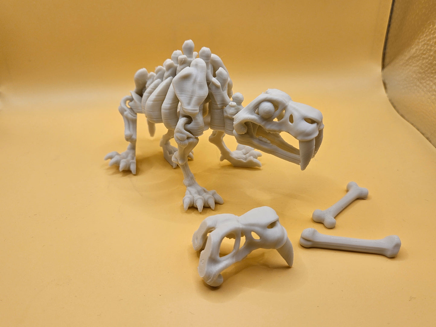 Skeleton Saber-Tooth Tiger!