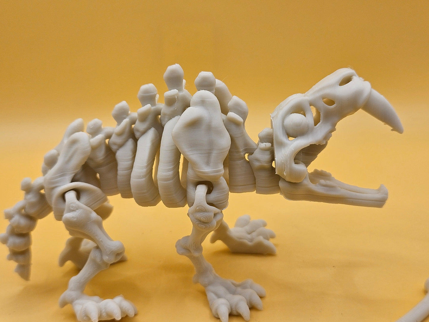 Skeleton Saber-Tooth Tiger!