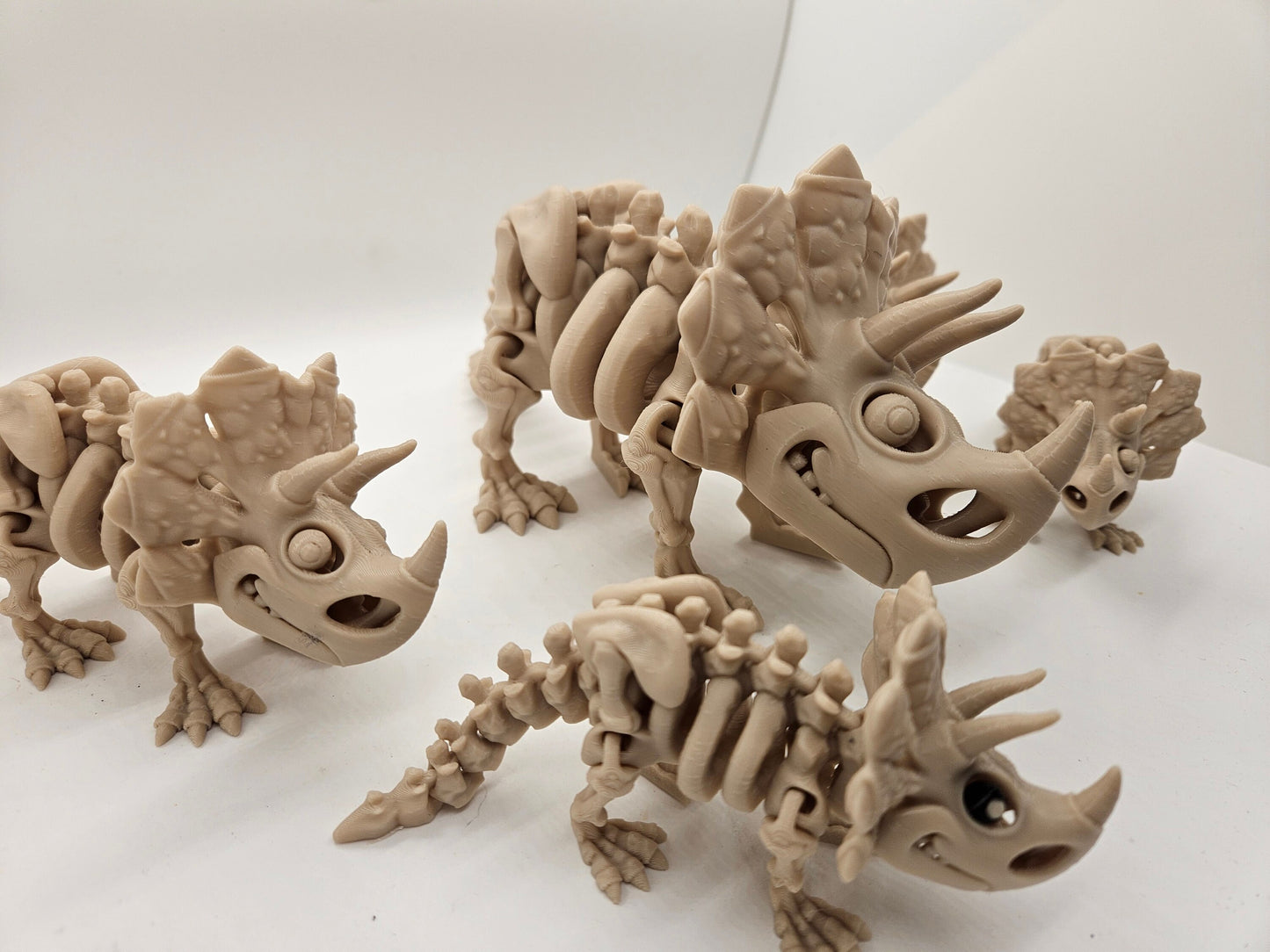 Flexi Skeleton Triceratops