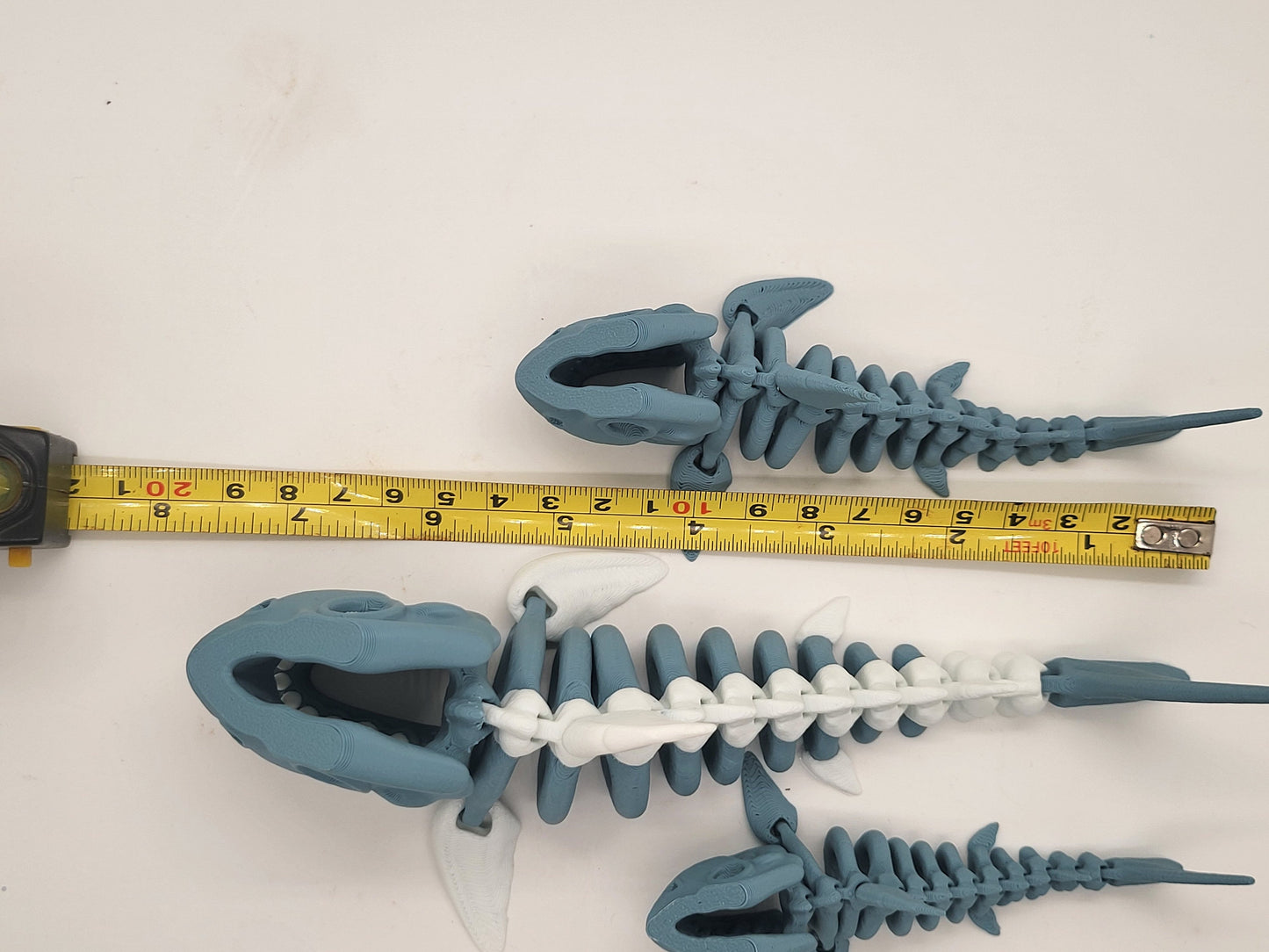 Flexi Skeleton Shark!