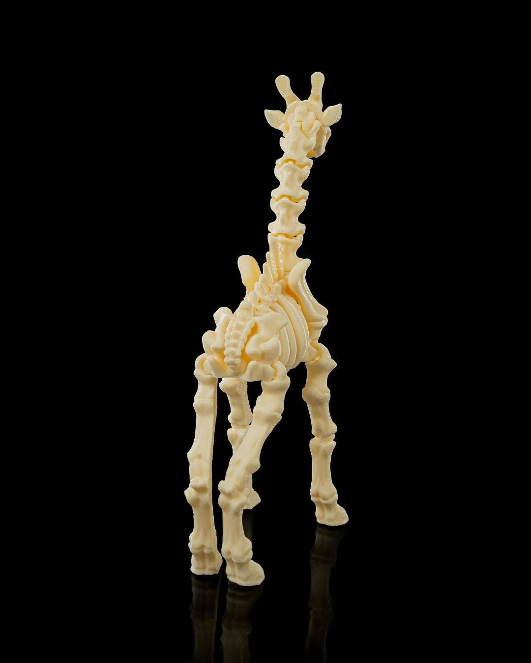 Flexi Skeleton Giraffe