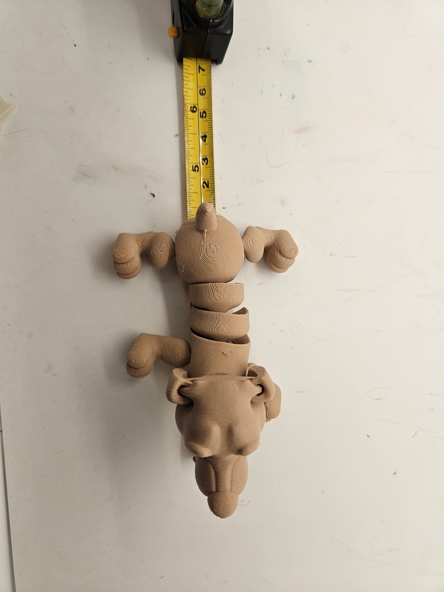 Flexi Skeleton Dachshund Hound!