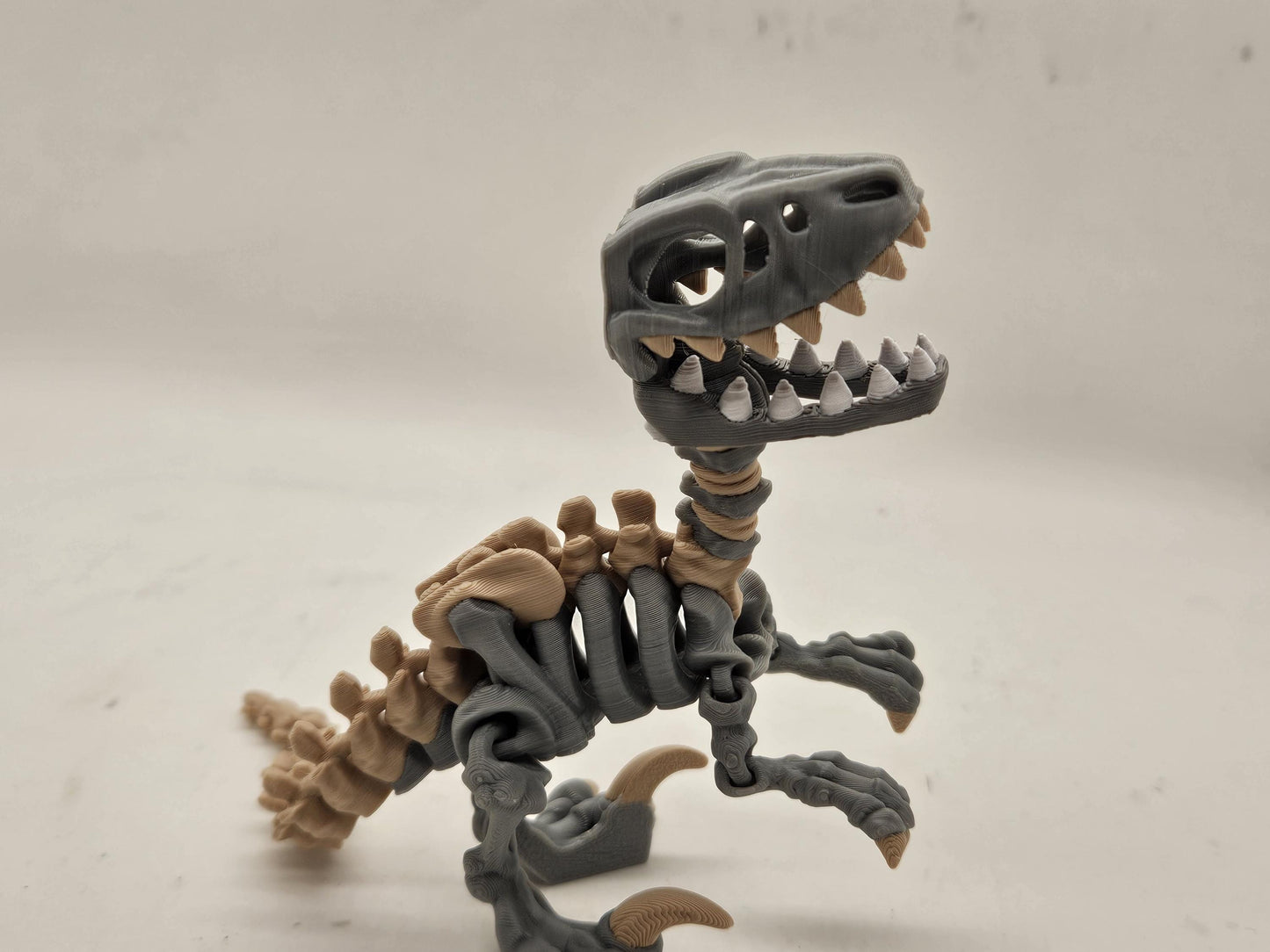 Flexi Skeleton Raptor!