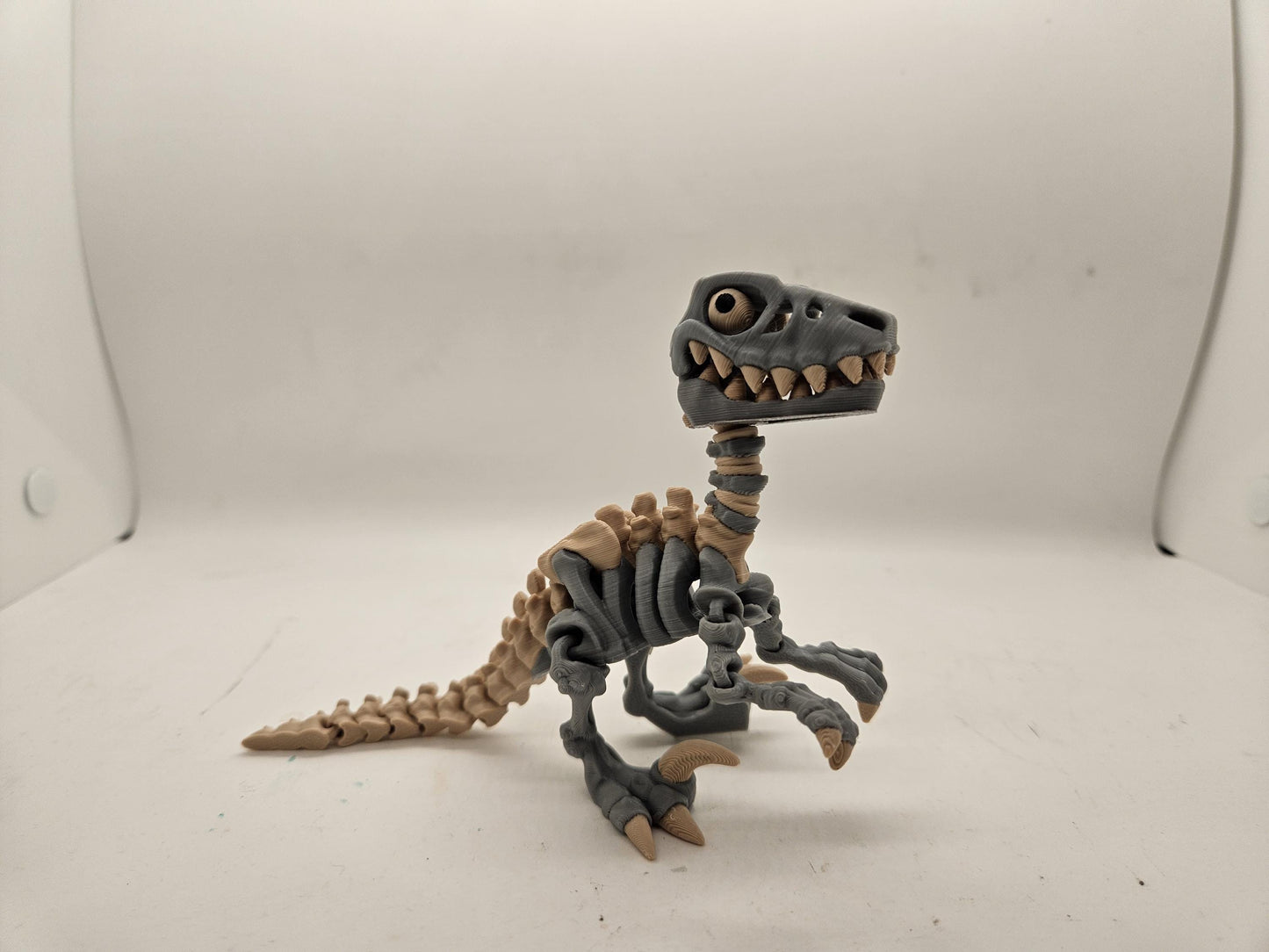 Flexi Skeleton Raptor!