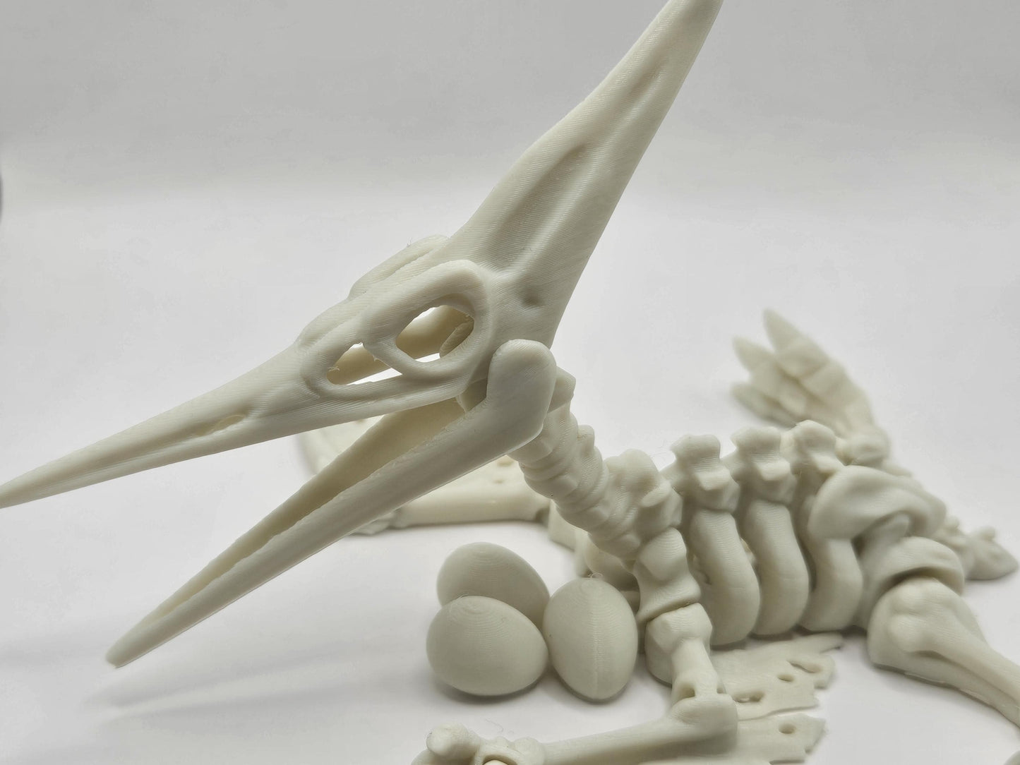 Skeleton Flexi Pteranodon/Pterodactyl