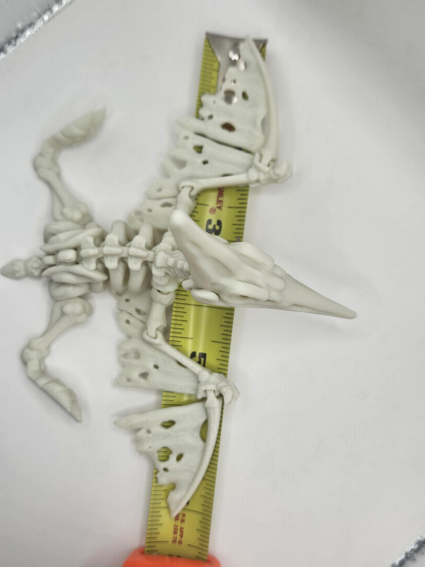 Skeleton Flexi Pteranodon/Pterodactyl