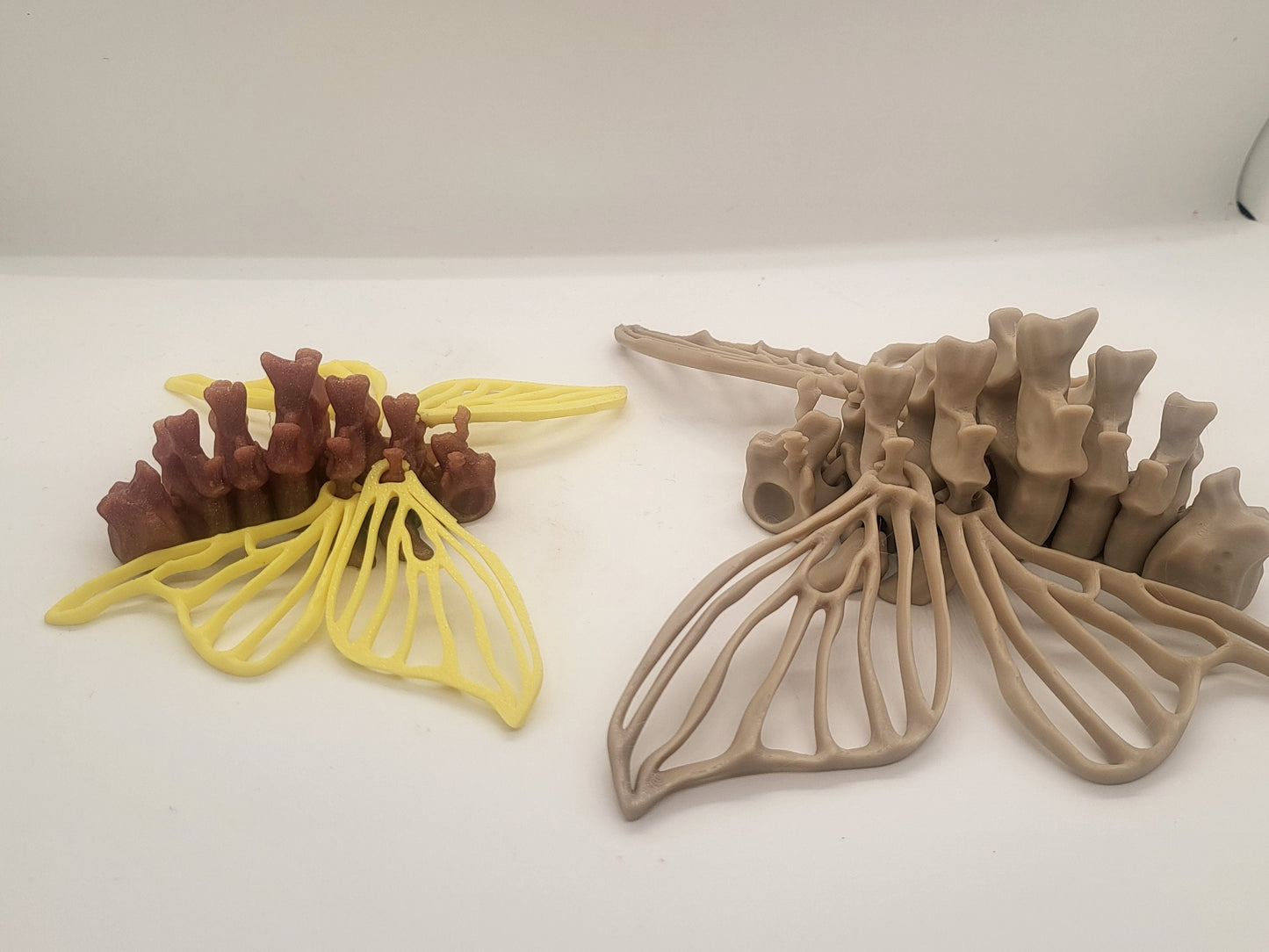 Bone Moth