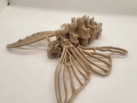 Bone Moth