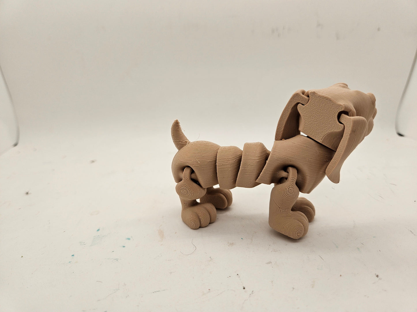 Flexi Skeleton Dachshund Hound!