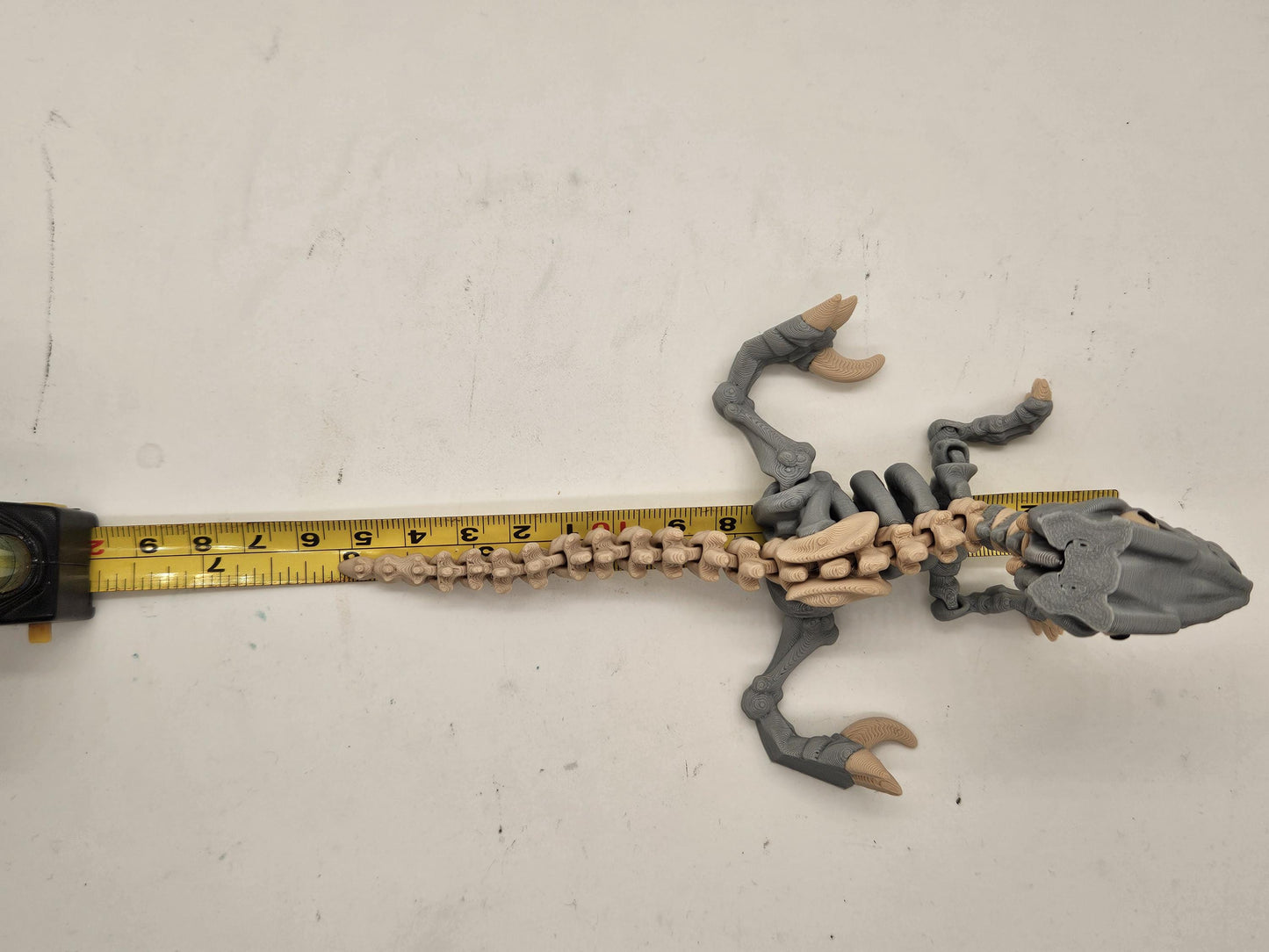 Flexi Skeleton Raptor!
