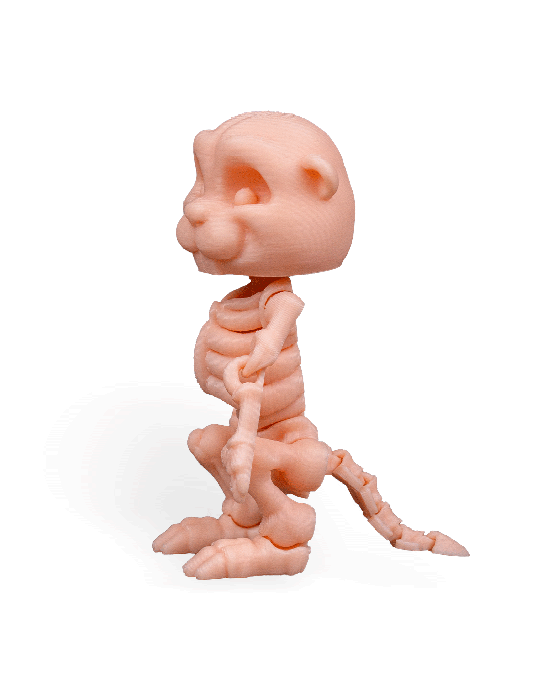 Skeleton Flexi Beaver!