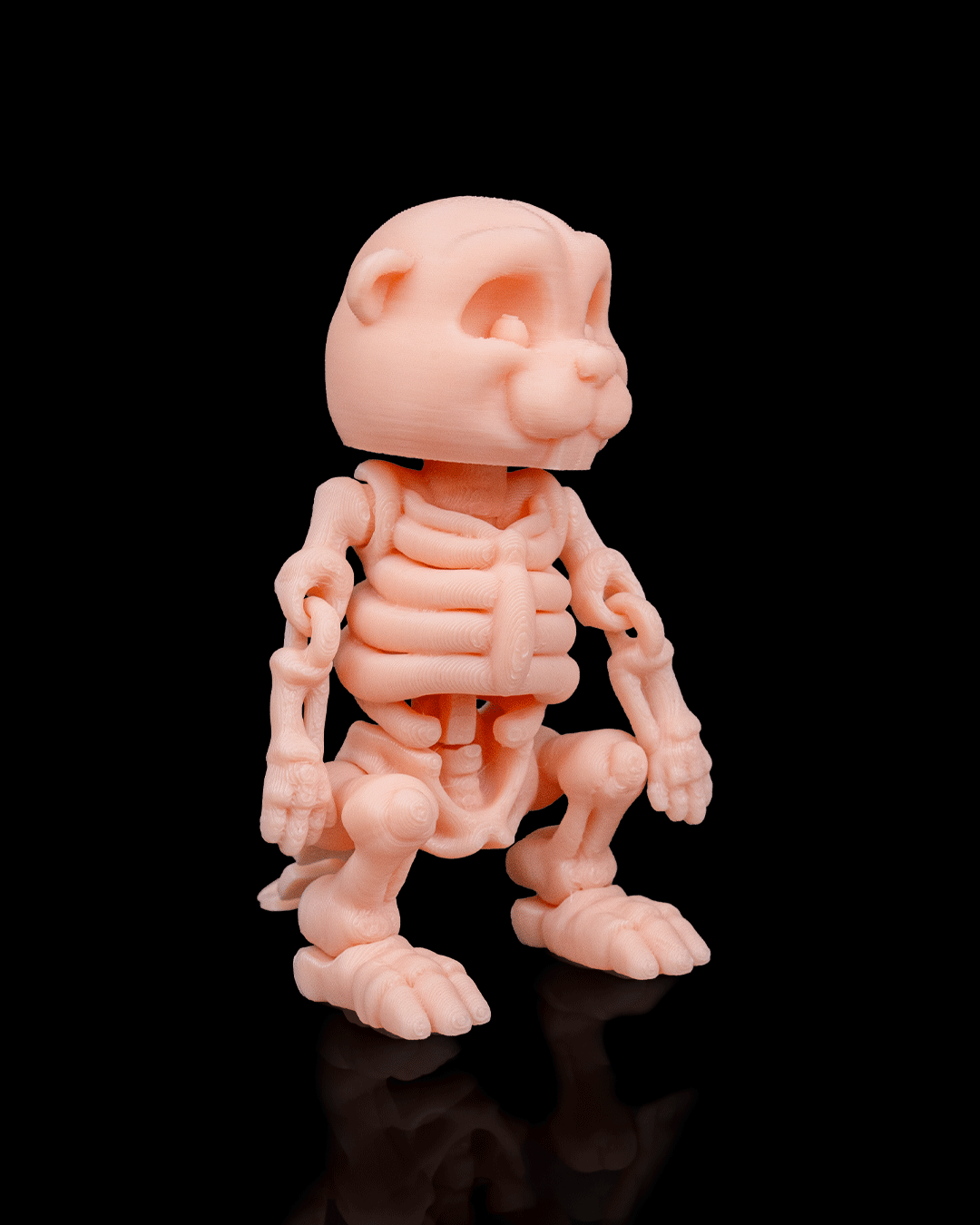 Skeleton Flexi Beaver!