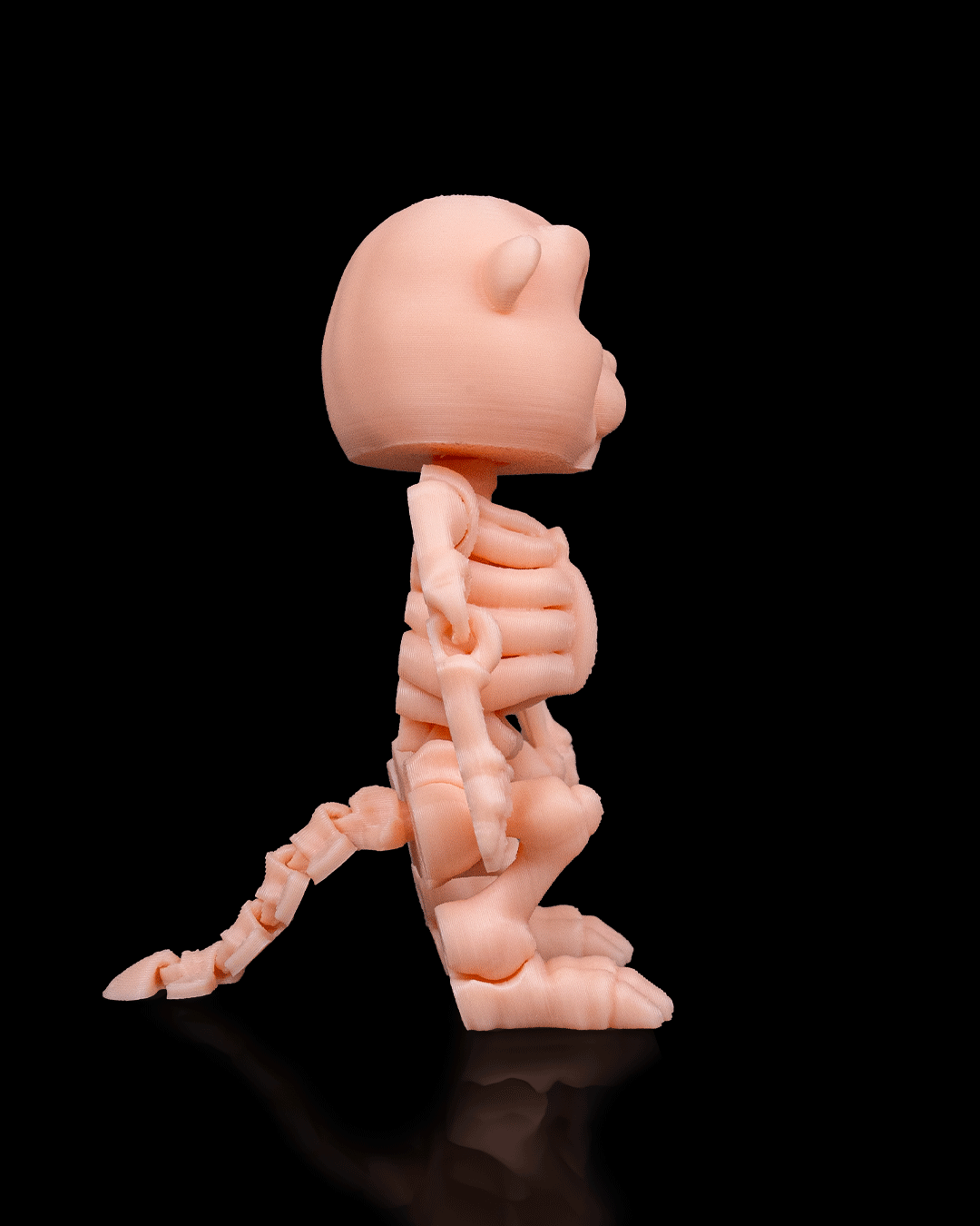 Skeleton Flexi Beaver!