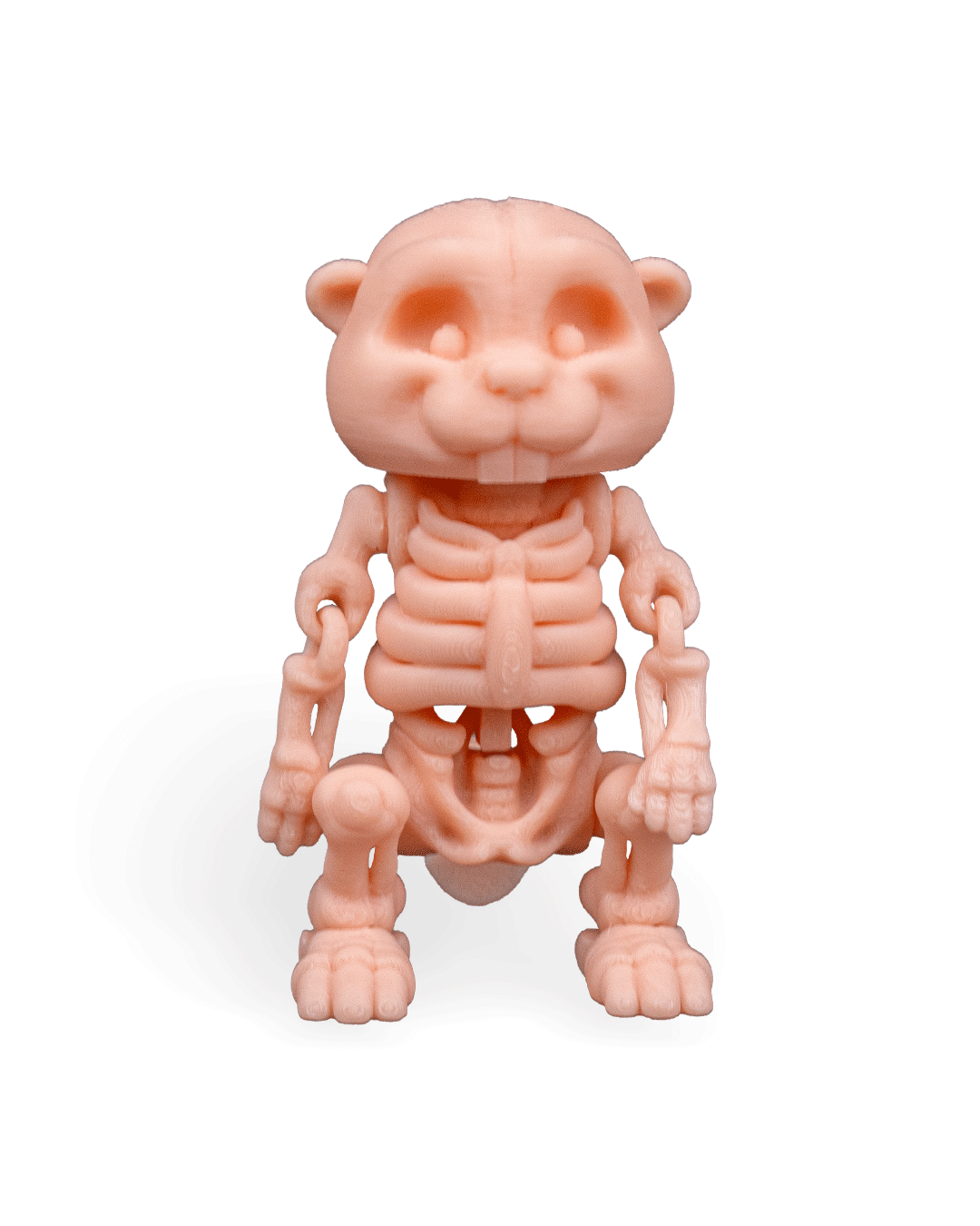 Skeleton Flexi Beaver!