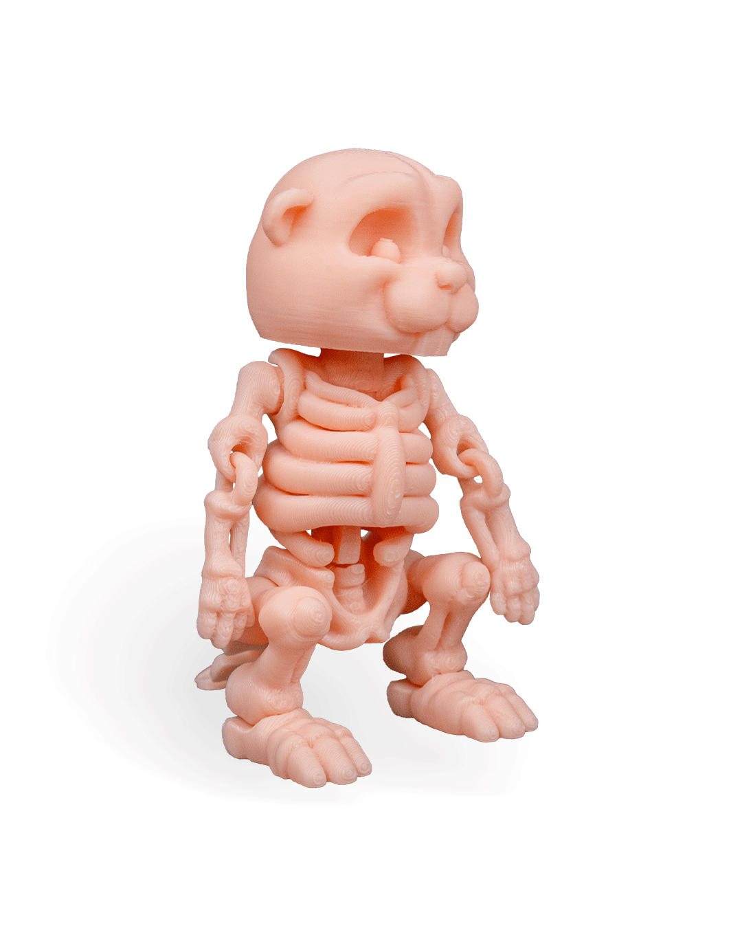 Skeleton Flexi Beaver!