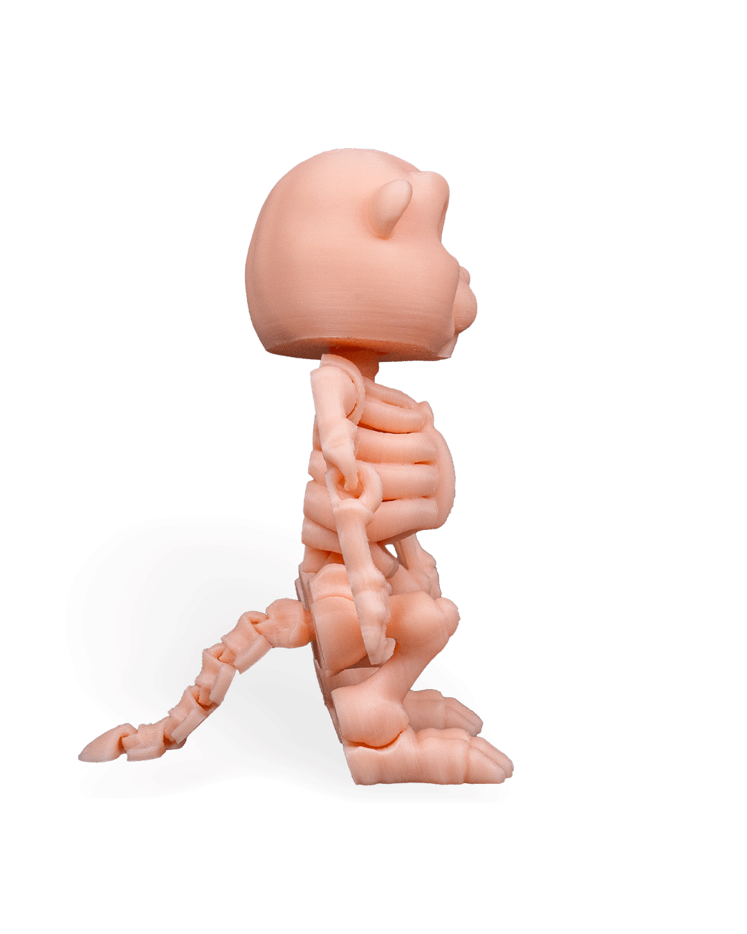 Skeleton Flexi Beaver!