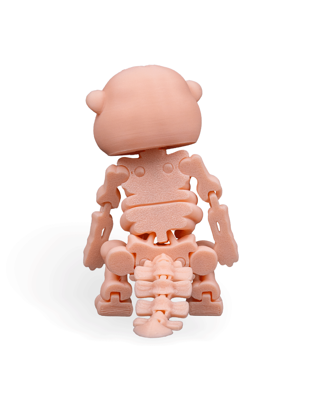 Skeleton Flexi Beaver!