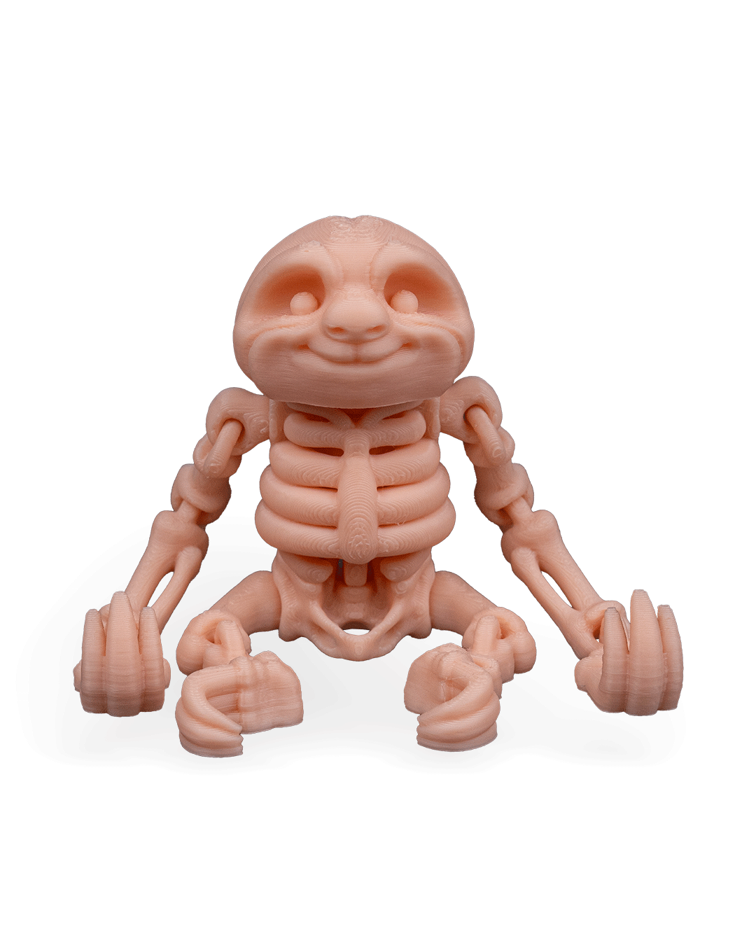 Flexi Skeleton Sloth!